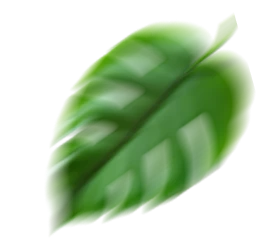 imagem de uma folha caindo